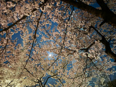 Jamsil π₯ Olympic Park View 13th image