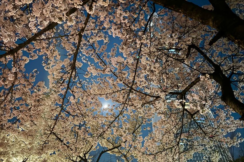 잠실🥇올림픽공원 뷰