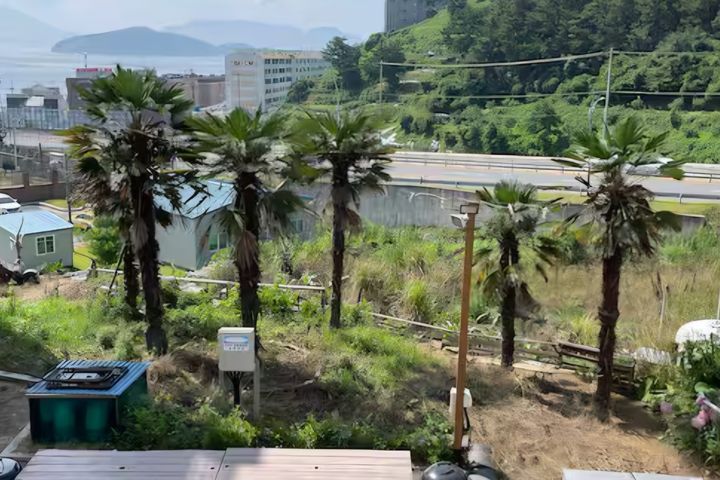 아쿠아리우스 11번째 이미지