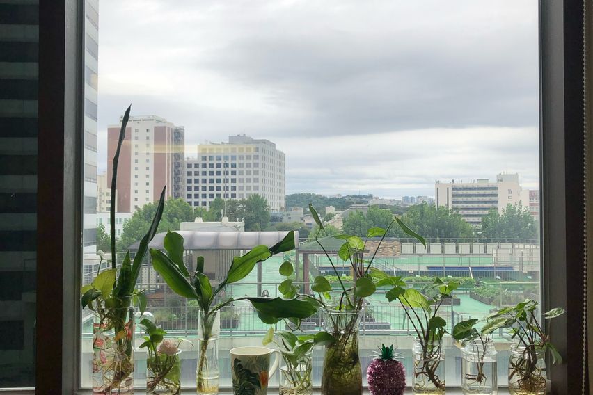 안국역 실13평오피스텔