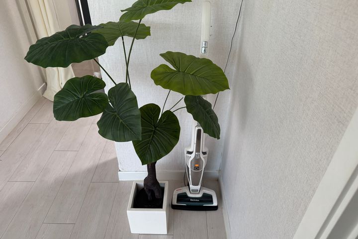 수원역복층투룸주차강아지 12번째 이미지