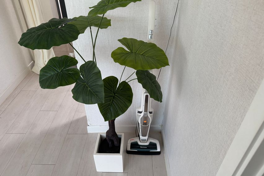 수원역복층투룸주차강아지 12번째 이미지