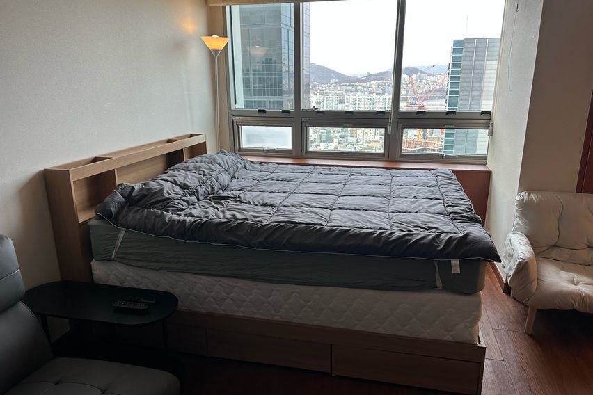 5분👋신사가로수압구정