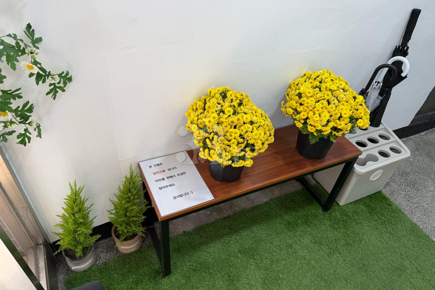 🏠Kangwon National University Hospital🌱Hally 11th image