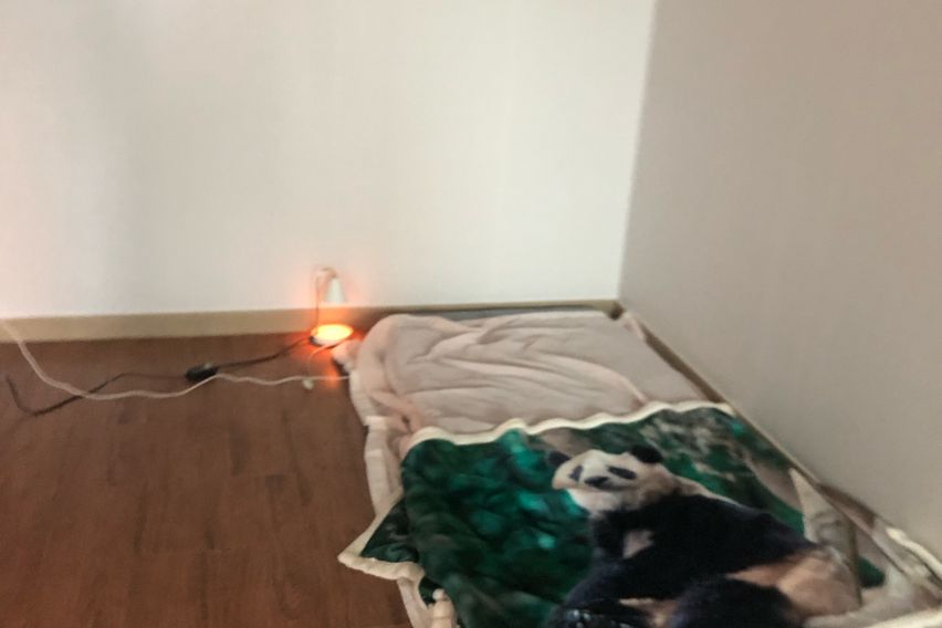 신시가지 5분거리아파트