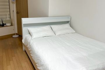 광화문 경복궁 깔끔