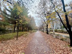 양천향교역 투룸 아파트 13번째 이미지