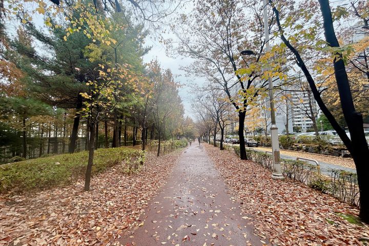 양천향교역 투룸 아파트 13번째 이미지