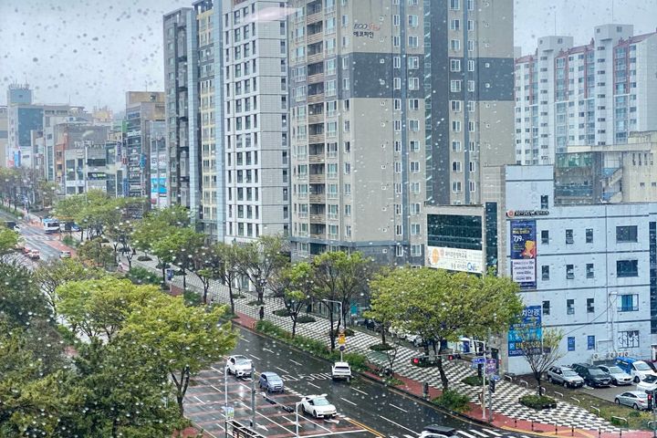 제주공항 노형중심 원룸 14번째 이미지