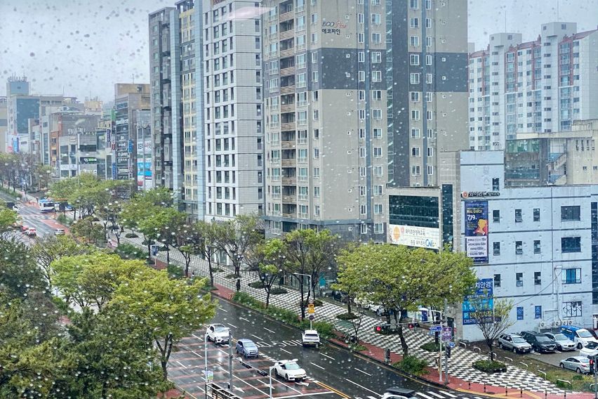 제주공항 노형중심 원룸 14번째 이미지