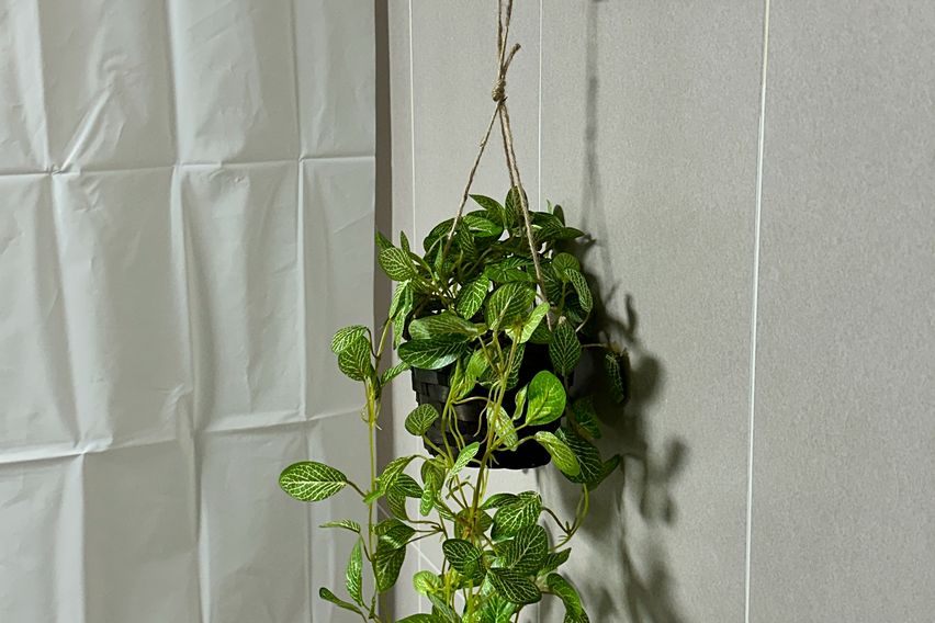 Ulsan Bangeo-dong three-room apartment 15th image