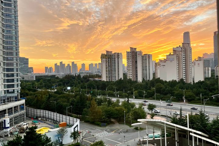 연세대 학생 추가 할인 19번째 이미지