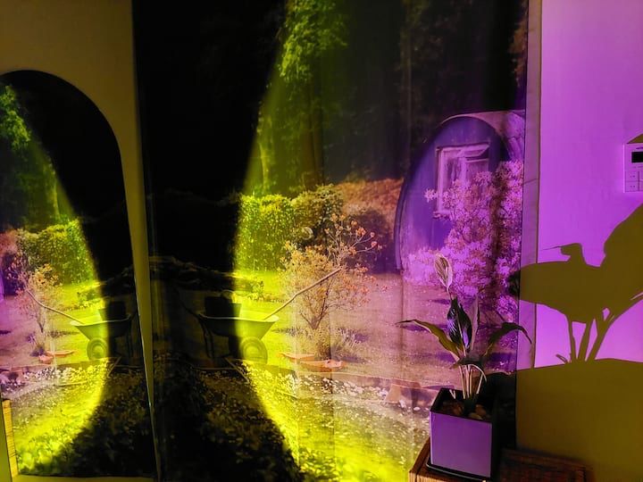 충북대 호원방 풀옵션