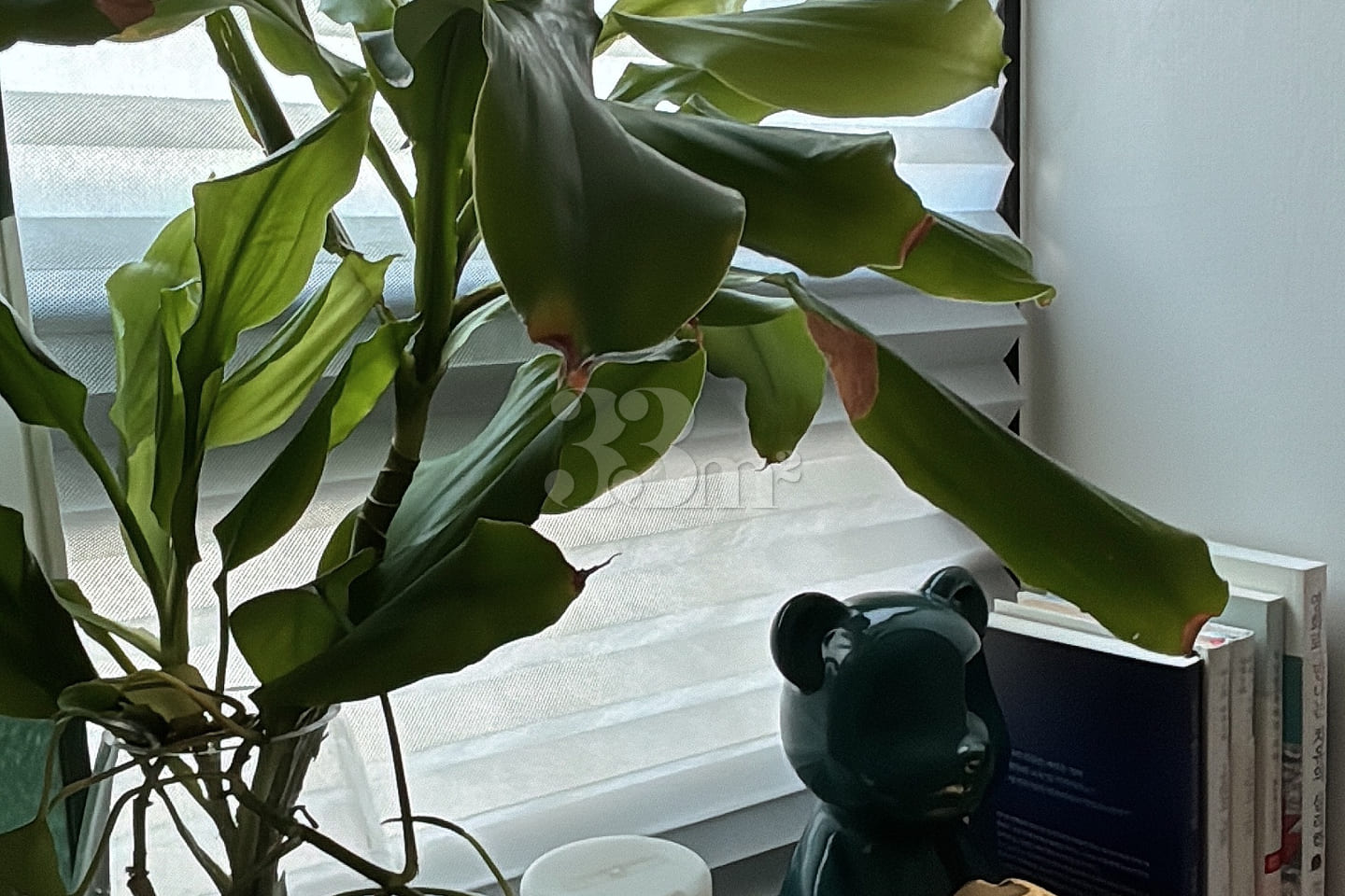 [Hapjeong] Sunny two-room apartment 6th image