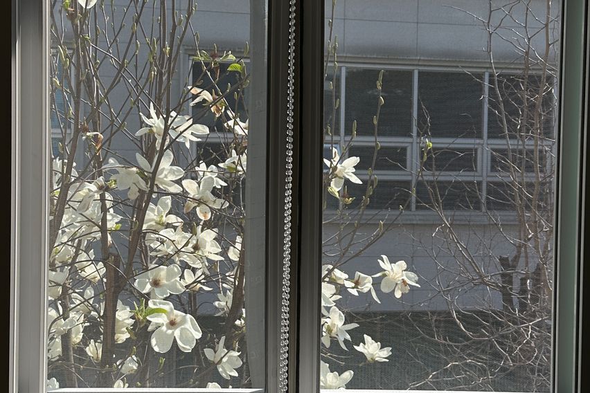 충무로역2분거리/203