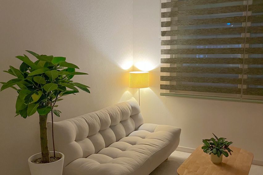 역5분 남향 고층 전망