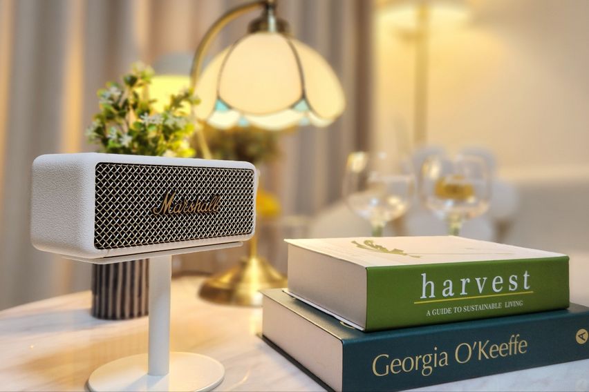 💛🌈선정릉👍1월초특가