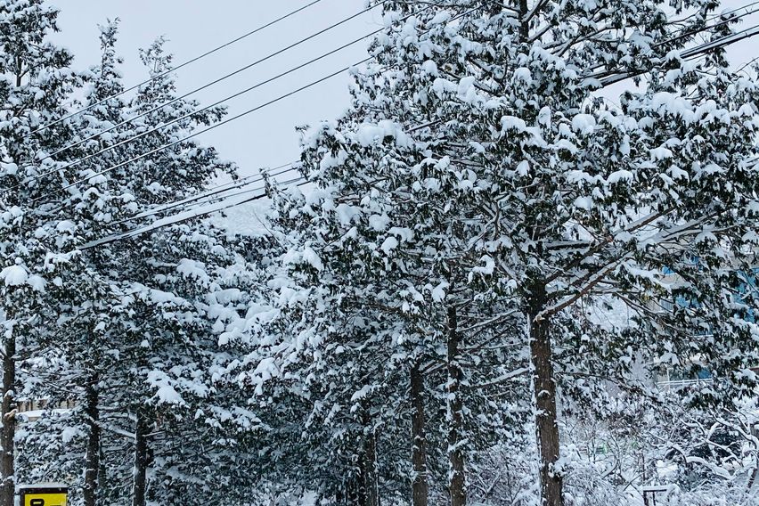 17평형오션뷰2층-온돌