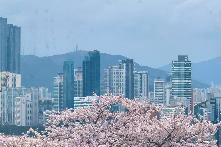 달맞이길오션뷰 대형평수 18번째 이미지