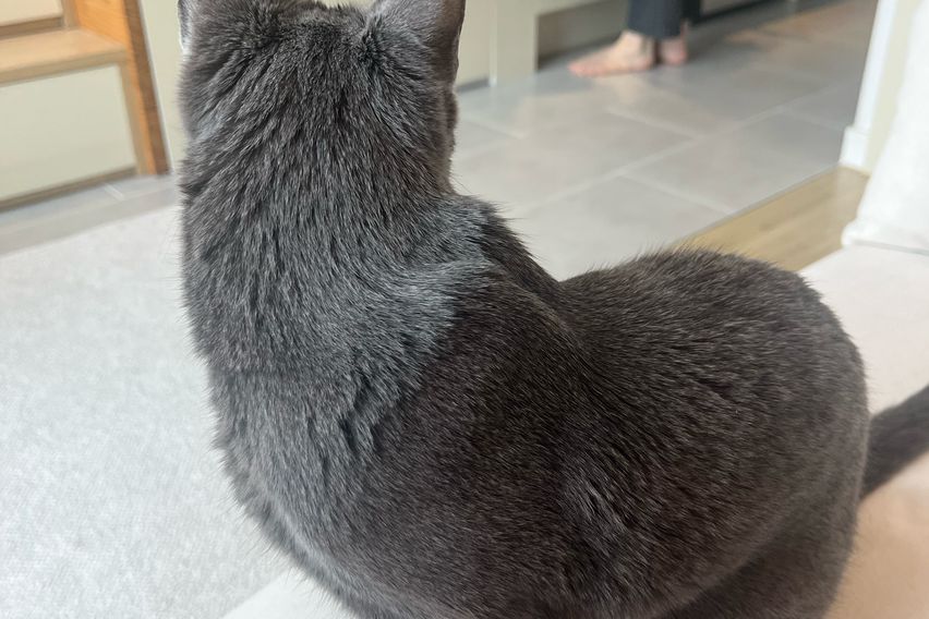 250909 앱스터디 4번째 이미지