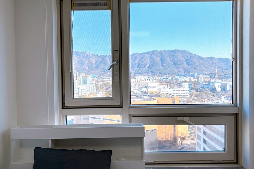 창원 도심1초 기쁨🍋