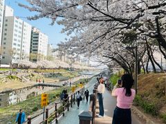 응암역이마트/투룸아파트 17번째 이미지