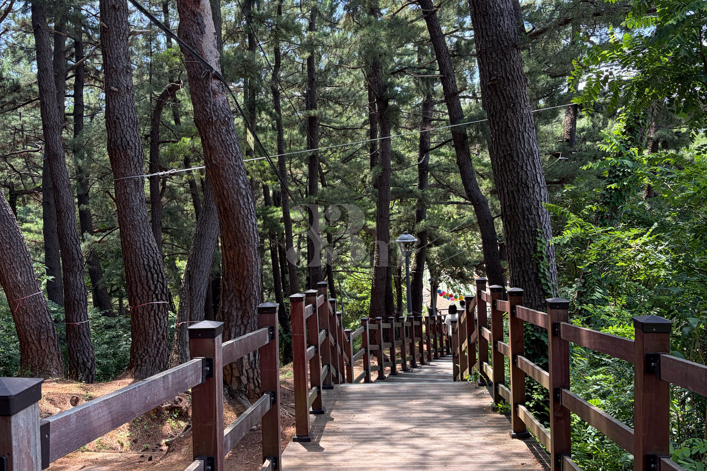 5 minutes from Hanseom Beach 10th image