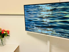 Sunlight, Netflix, Disney, detachable 2th image
