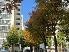 마들역2분컷풀옵아팟 18번째 이미지