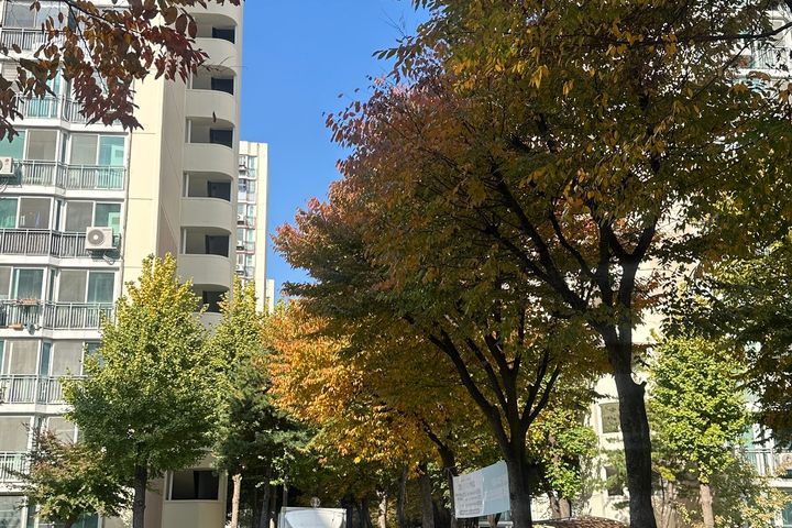 마들역2분컷풀옵아팟 18번째 이미지