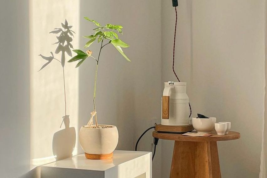 호꼼만 16번째 이미지