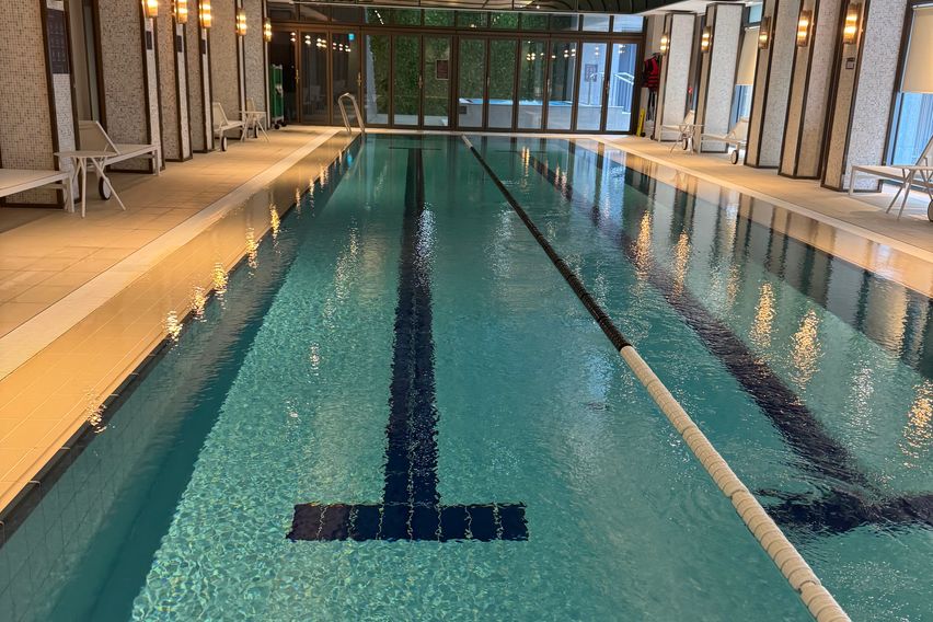 팬트하우스 타마