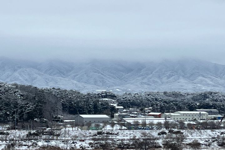 강릉예쁜달) 송정/안목 13번째 이미지
