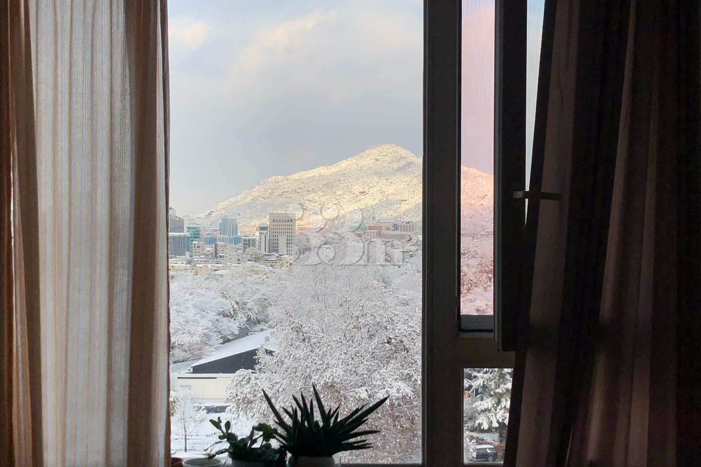 Insane view 🌳 Konkuk Univ. / Seongsu / Child 16th image