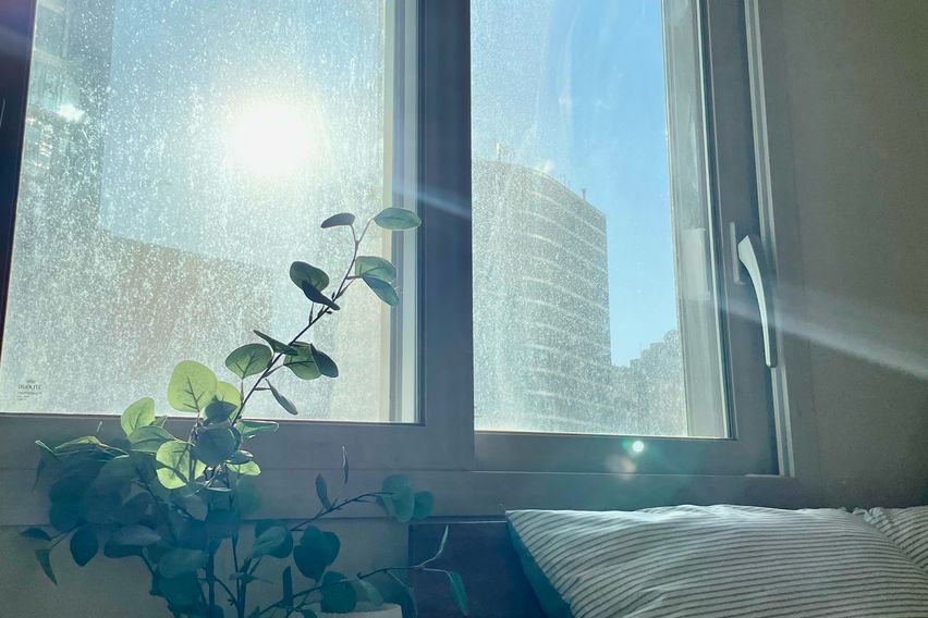 🛏️명동 WarmStay