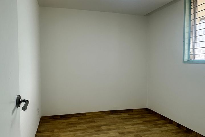 루피네 12번째 이미지