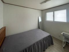 태백 6번째 이미지