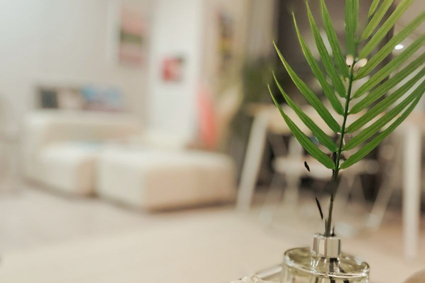 캘리포니아드림