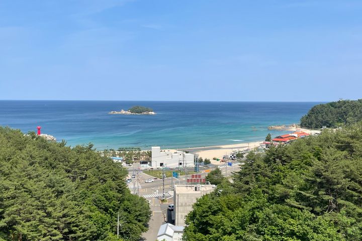 오션뷰/서핑/할인❤️ 0번째 이미지