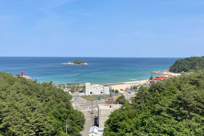 오션뷰/서핑/할인❤️