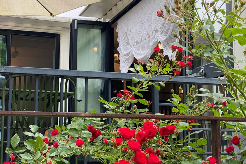 🌿용인 광교산 자연주택 0번째 이미지