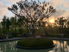Newly built apartment with a sunset view. 13th image