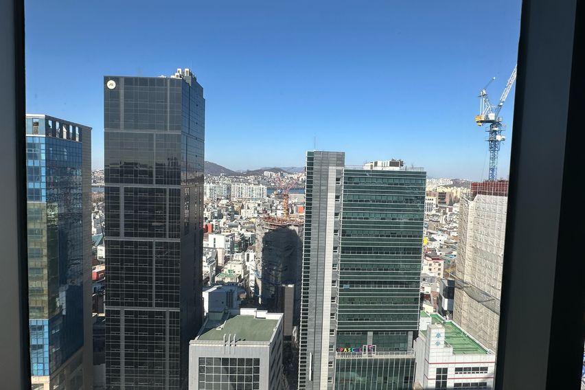 5분👋신사가로수압구정