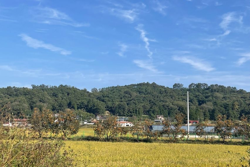 있어만 있어도 힐링 7번째 이미지