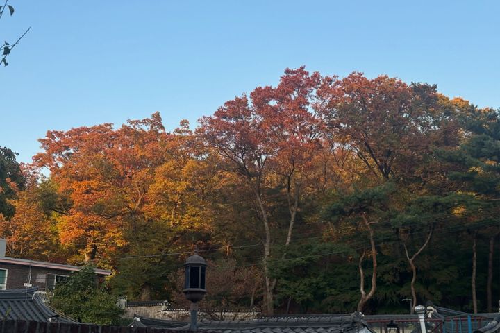 작은 아씨집 7번째 이미지