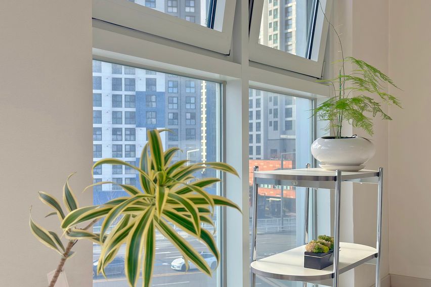 🚅동대구역3분 초역세