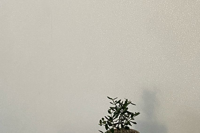 🤍마포역공덕역1분/풀