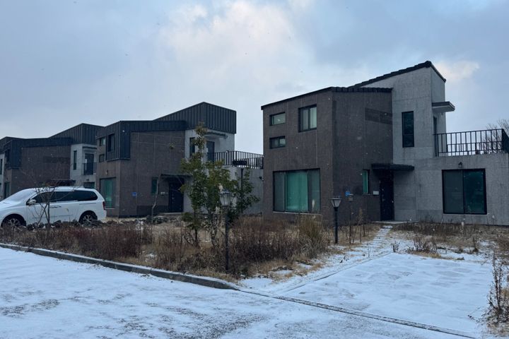 애견잔디독채🍀 1번째 이미지