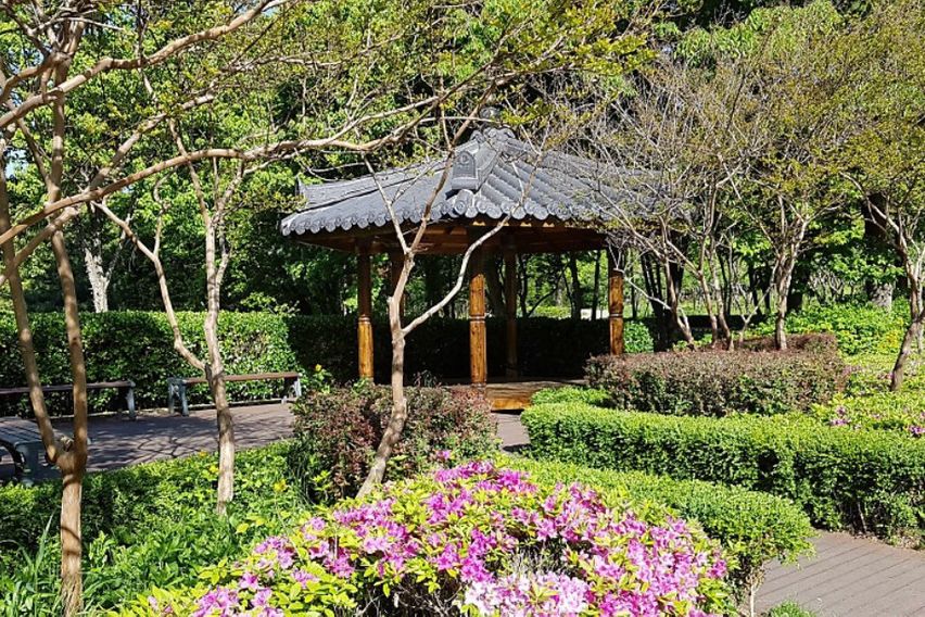 남산단독이용마당있는주택 19번째 이미지