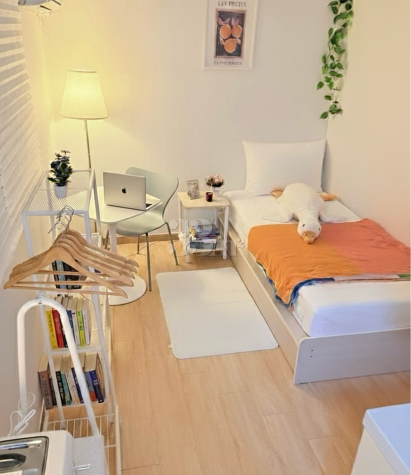 🩵Hyehwa/Sungkyunkwan University 0th image